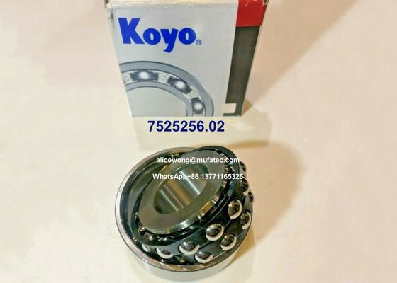 7525256.02 7525256 F-234975.10 BMW differential bearings double row ball bearings 31.75x73.025x24/29.375mm