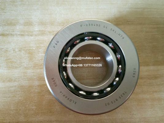 Porsche Cayenne 92A Differential Bearings